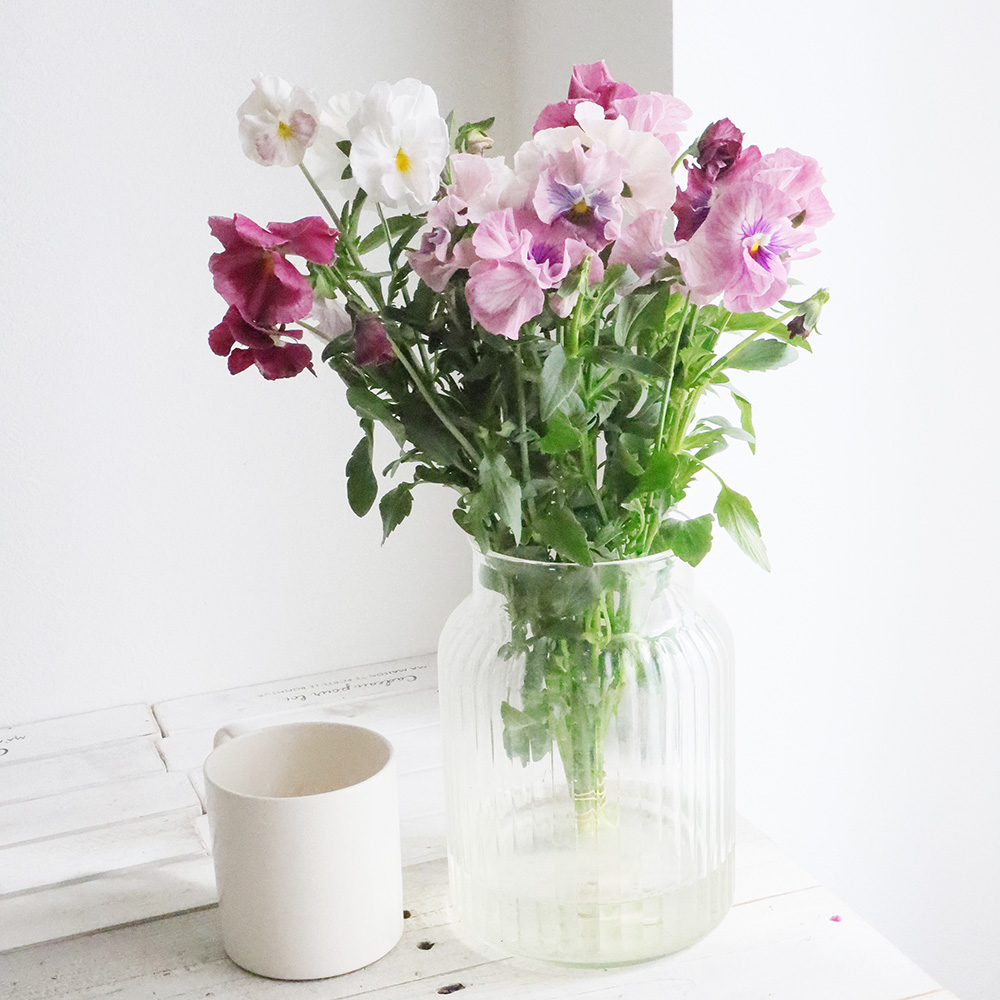 生花】JA福島さくら パンジー (ピンク系)シュシュ【FJ】 - 花材通販は